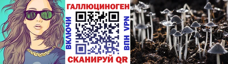 Галлюциногенные грибы Cubensis  наркотики  KRAKEN ТОР  Орёл 